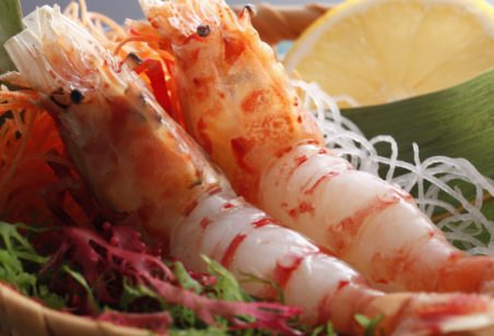 丹後のモサエビ