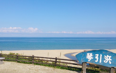 琴引浜