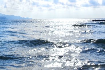 海